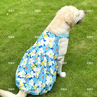 大狗衣服背心裙子南瓜中大型犬衣服拉布拉多金毛边牧萨摩耶公主裙
