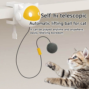 Ball Toys Automatic Self Electric Interactive lifting Cat