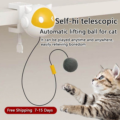 AutomaticInteractiveCatToys
