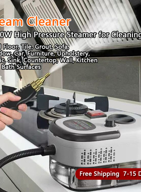 Steam Cleaner High Pressure Steamer for Cleaning,for Kitchen