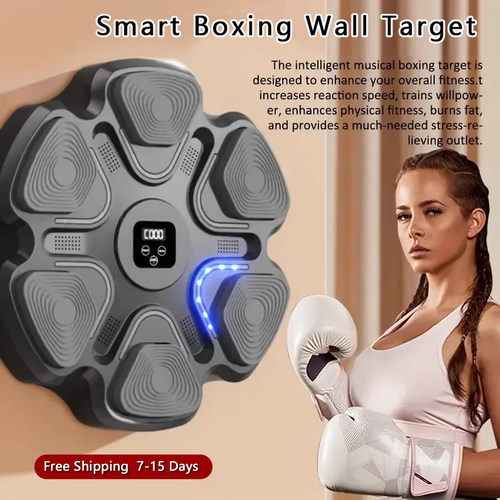 ElectronicBoxingTarget