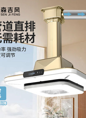 直排式麻将馆抽烟机棋牌室空气净化器酒店娱乐专用吸烟灯升降吊灯