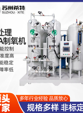 厂家水处理PSA制氧机工业级制氧设备变压吸附式大型工业制氧机