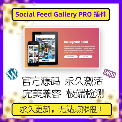 Social Feed Gallery PRO 插件 WP画廊插件 瀑布流图片插件 官方