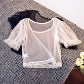 薄纱短款 夏季 内搭少女泡泡袖 上衣蕾丝网纱薄款 内搭体恤圆领 打底衫