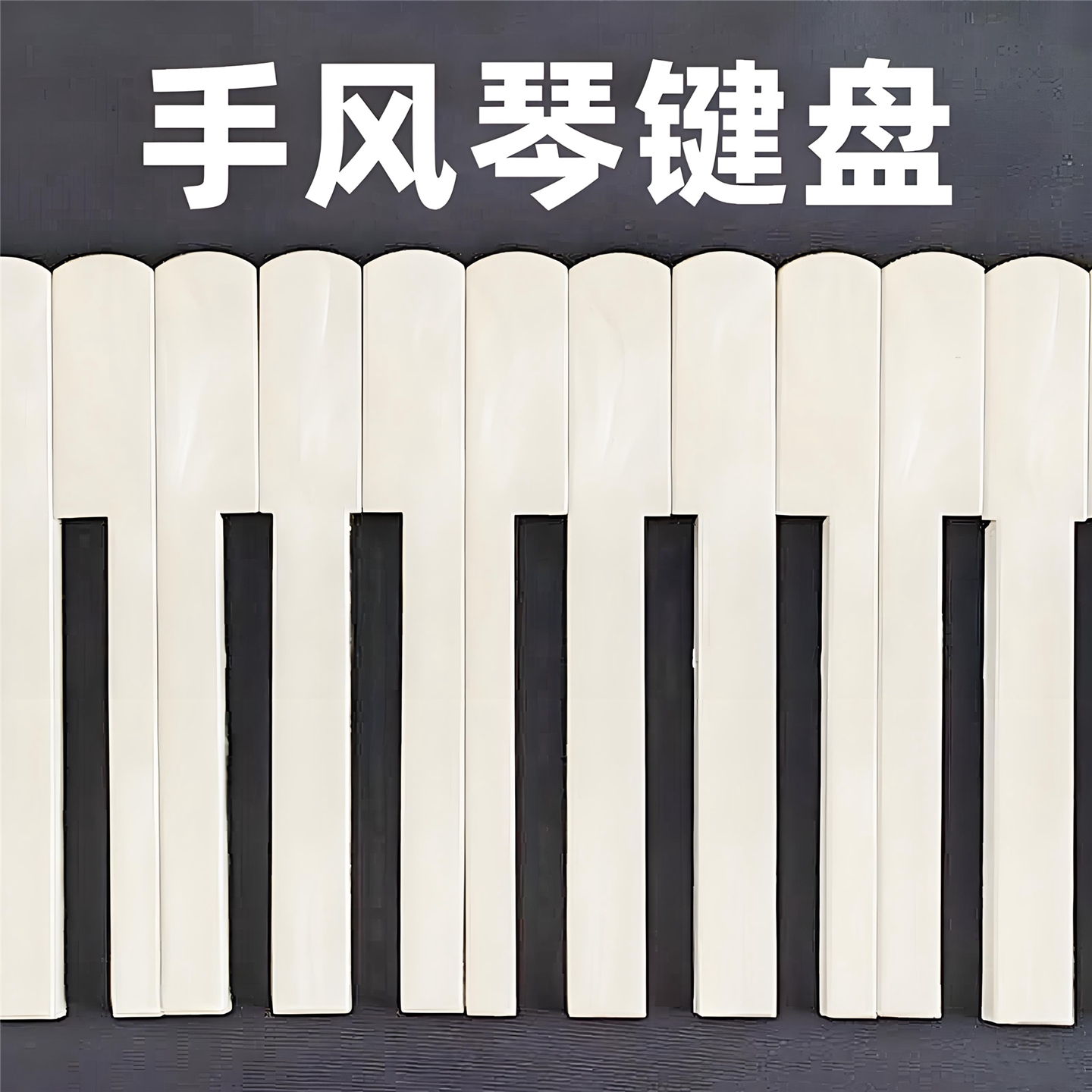 手风琴键盘配件专业代换维修白键