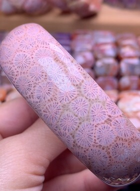 珊瑚玉手镯61.7口
