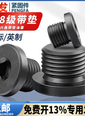 国标内六角带垫油塞螺丝4.8级JB1001英制内六角带垫喉塞阻流塞闷