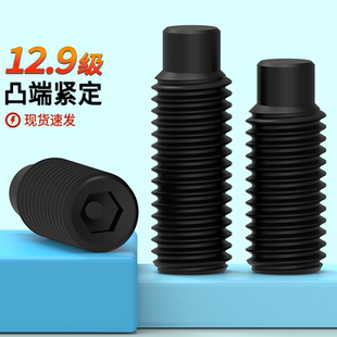 凸端无头螺丝12.9级DIN915内六角机米M3M4M5M6M8 M20M24紧定螺钉