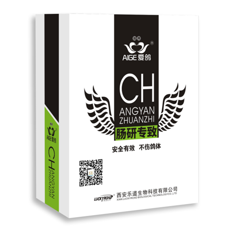 西安乐道鸽药爱鸽肠研专致60克粉信赛鸽子水便绿便沙门氏肠炎专治