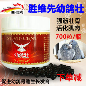 比利时胜维先鸽药幼鸽壮600丸鸽子用药幼鸽夺霸育雏宝胜维幼鸽壮