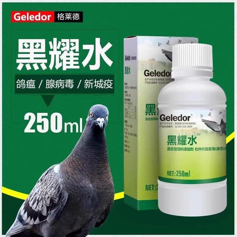格莱德黑药水中药赛鸽信鸽抗病毒鸽痘流行感冒鸽瘟黑耀水