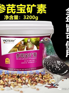 汉诺威鸽药大全参芪宝矿素3200g赛信鸽幼鸽保健砂营养调理鸽子药