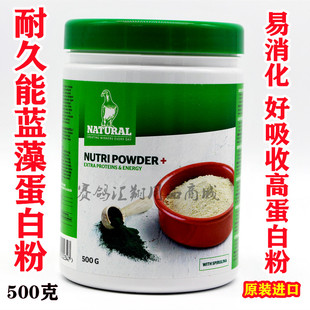 耐久能鸽药蓝藻高蛋白粉500克(原版简装)赛鸽补体能进口蛋白粉