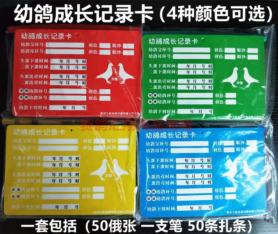 幼鸽成长记录卡鸽子识别册用品辨别卡片血统书直系记录卡蓝黄红绿