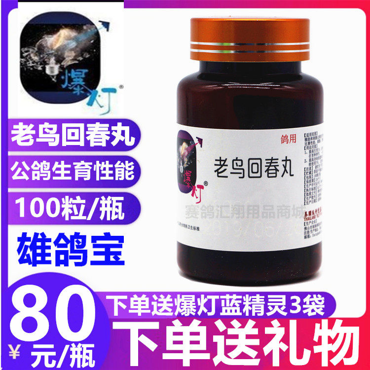 爆灯鸽药老鸟回春丸100粒赛鸽信鸽子用品调理种鸽公鸽雄鸽宝保健