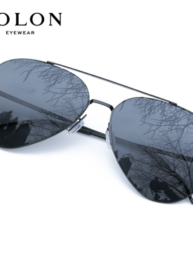 暴龙新款太阳镜男士偏光开车墨镜驾驶专用眼镜飞行员蛤蟆镜BL8020