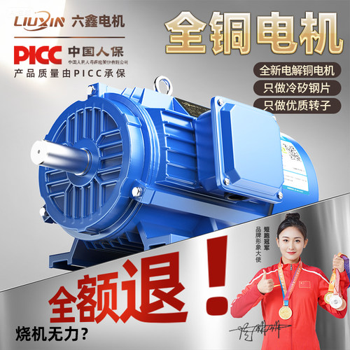 国标全铜三相异步电机380v
