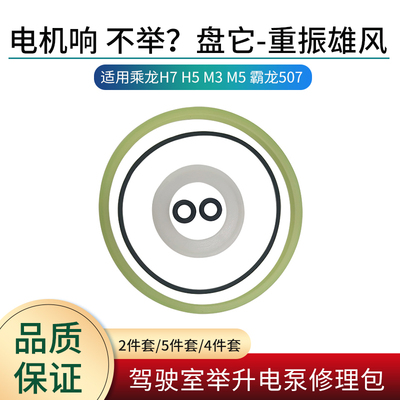 适用乘龙H7H5M3M5电动泵修理包