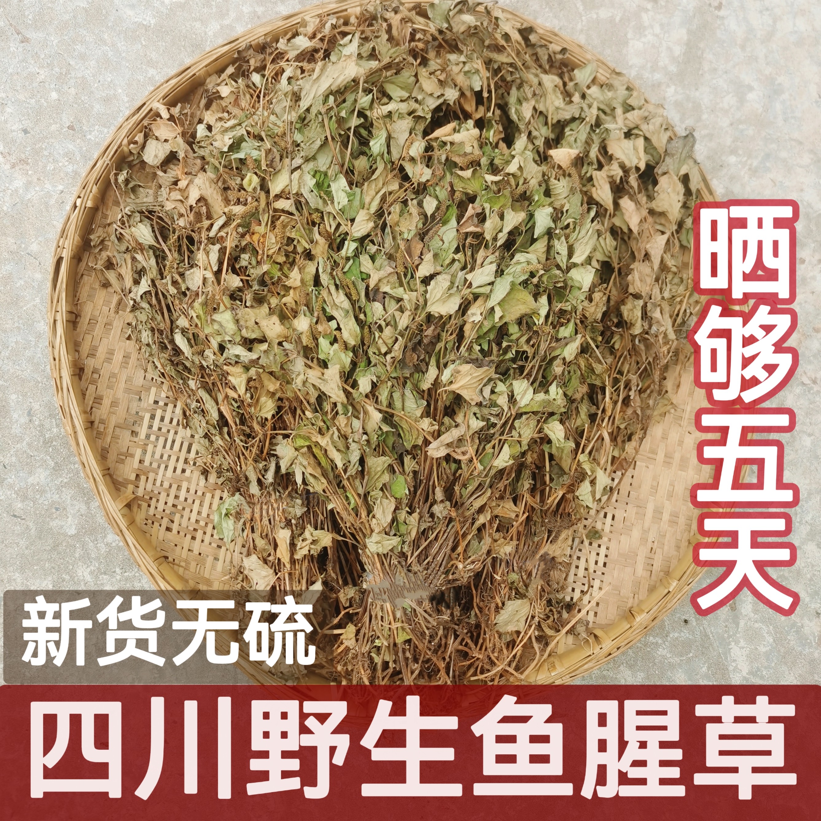 新货四川无硫晒干整株折耳根