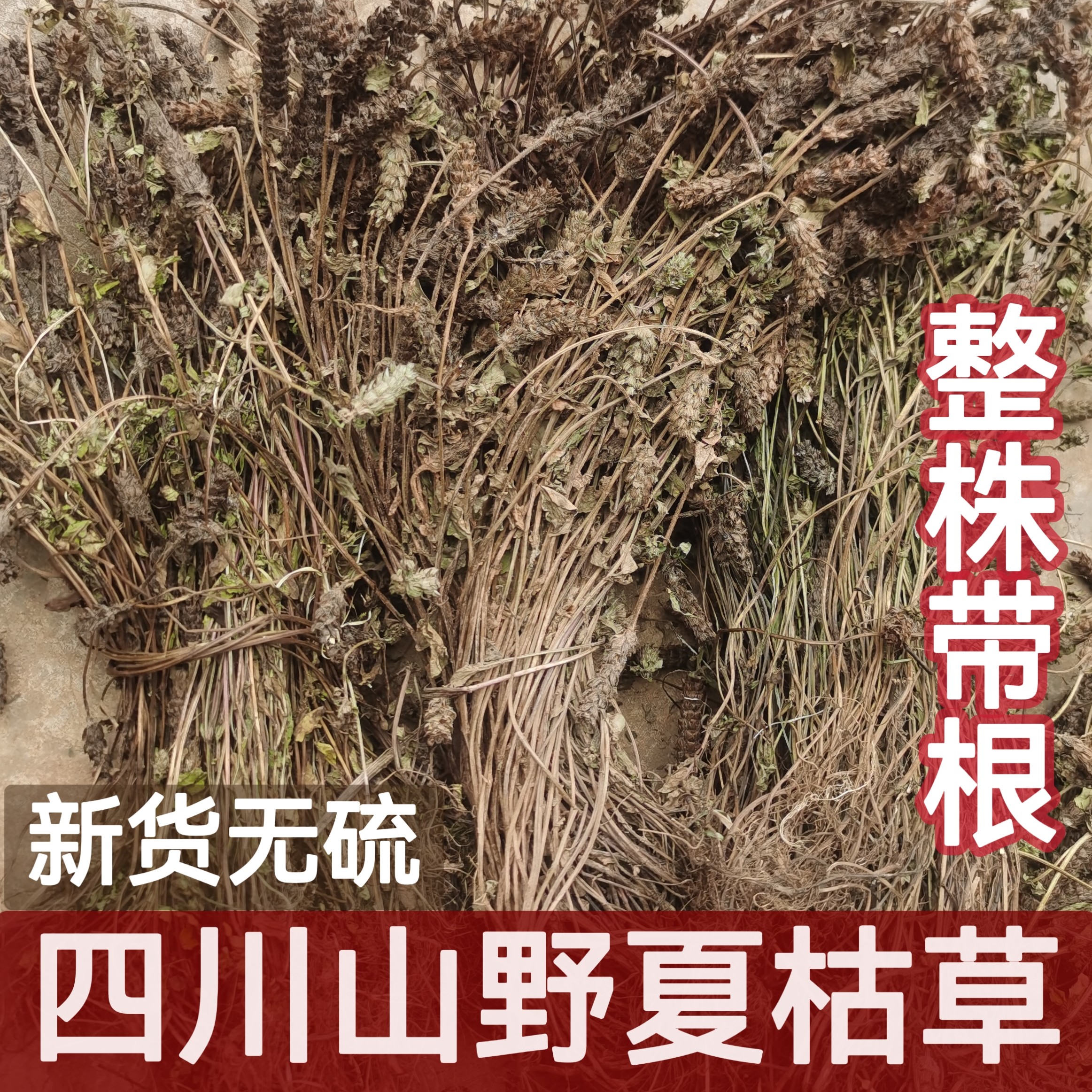 2026年新货无硫夏枯草晒干四川野生夏枯球泡茶灯笼草整棵带杆带根
