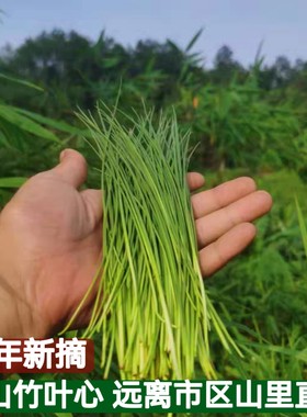 2026年新货野生竹叶心四川新鲜竹芯竹子嫩芽卷心竹针中药凉茶晒干