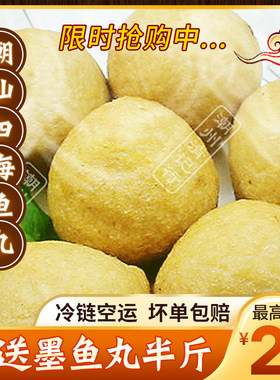 潮州黄金四海鱼丸鱼肉火锅食材