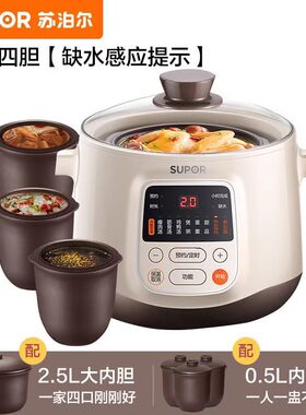 白陶瓷智能家用炖锅隔水
