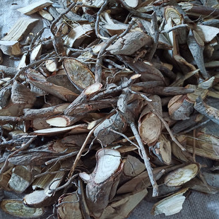 野生盐肤木根 五倍子树 浦连盐 叛奴盐 盐霜柏 红盐柴 250克包邮