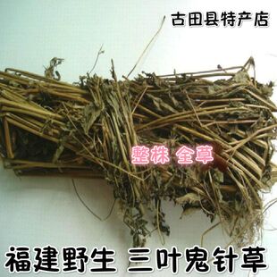 福建野生开黄花 鬼针草 三叶鬼针草 婆婆针 整株全草 250克 包邮
