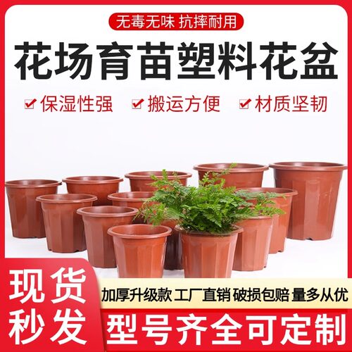 塑料花盆加厚育苗盆透气速排设计