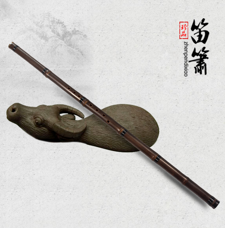 丁治国洞箫 专业一节紫竹箫 八孔g调初学萧  f/e调六孔素箫 乐器