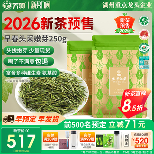 2026年新茶芳羽安吉白茶开园头采250g正宗明前茶叶正宗绿茶自己喝