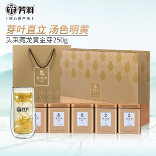 2025年新茶上市芳羽黄金芽开园头采特级安吉茶叶白茶礼盒装 250g