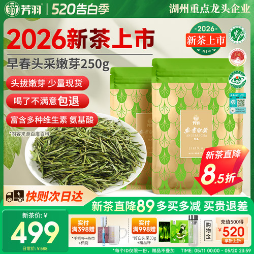 芳羽头采安吉白茶250g