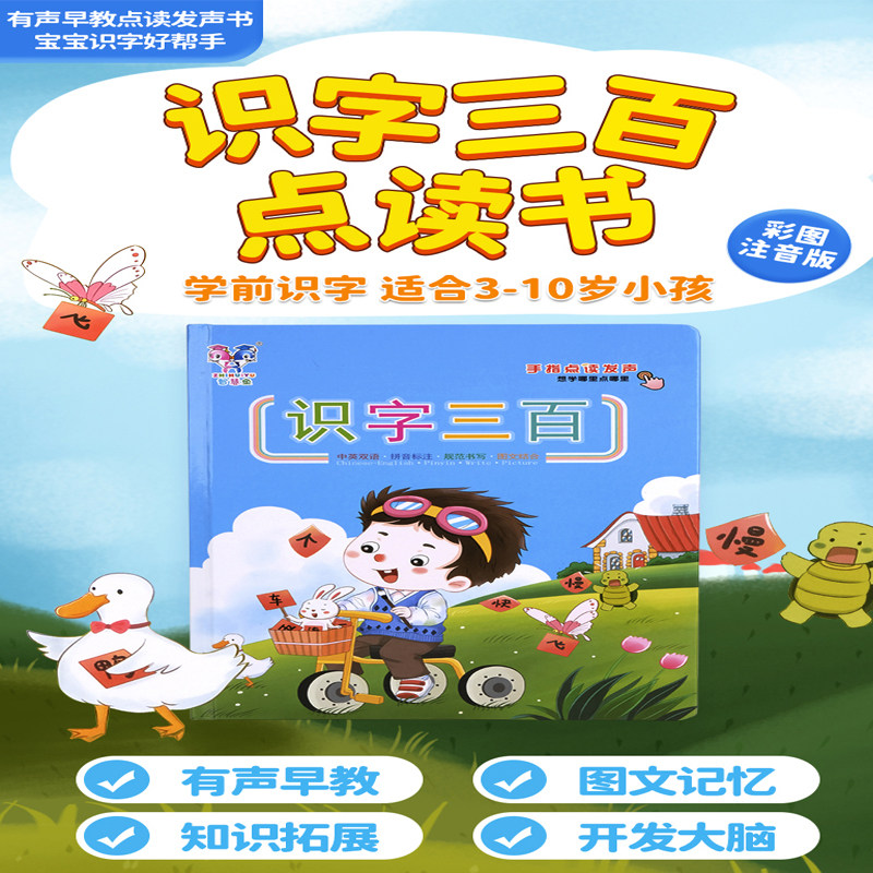 有声早教发声点读书儿童识字卡神器认字挂图幼儿园语音3000字玩具