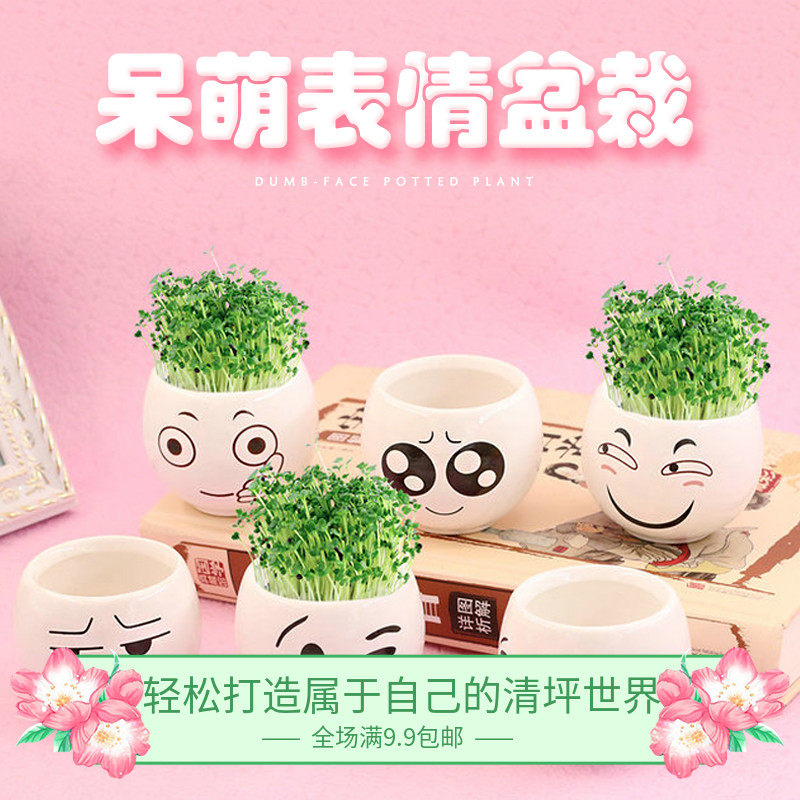 呆萌表情白瓷盆栽 DIY长草头娃娃动漫公仔多肉卡通学生礼品微景观,节庆用品/礼品,创意礼盒/礼品套组,淘宝优惠券,粉丝福利购,淘宝优惠卷