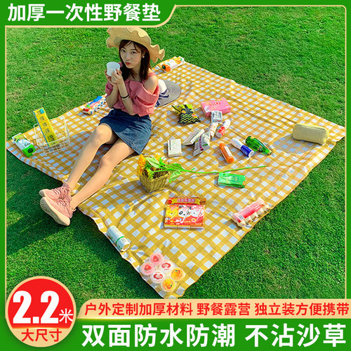 户外一次性野餐垫防潮垫便携垫子