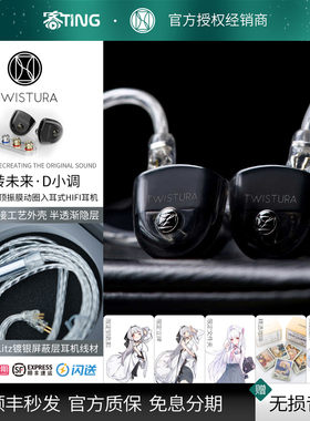 TWISTURA/逆转未来 D小调/D-MINOR 高性能动圈监听入耳式HIFI耳机
