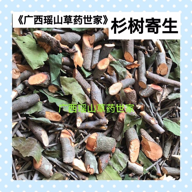 杉树寄生 杉寄生 杉木寄生 深山生长的寄生茶干品500g包邮,传统滋补营养品,其他药食同源食品,淘宝优惠券,粉丝福利购,淘宝优惠卷