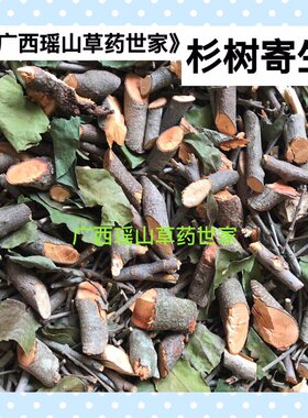 杉树寄生 杉寄生 杉木寄生 深山生长的寄生茶干品500g包邮