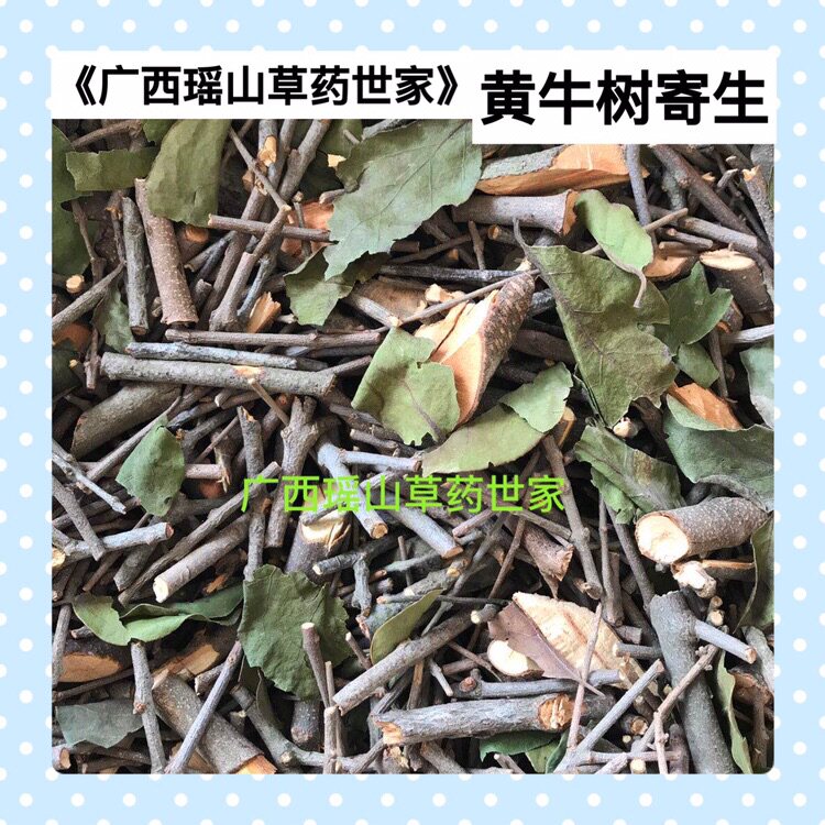 黄牛木寄生黄芽木寄生黄牛树寄生雀笼木狗芽木寄生干品500g