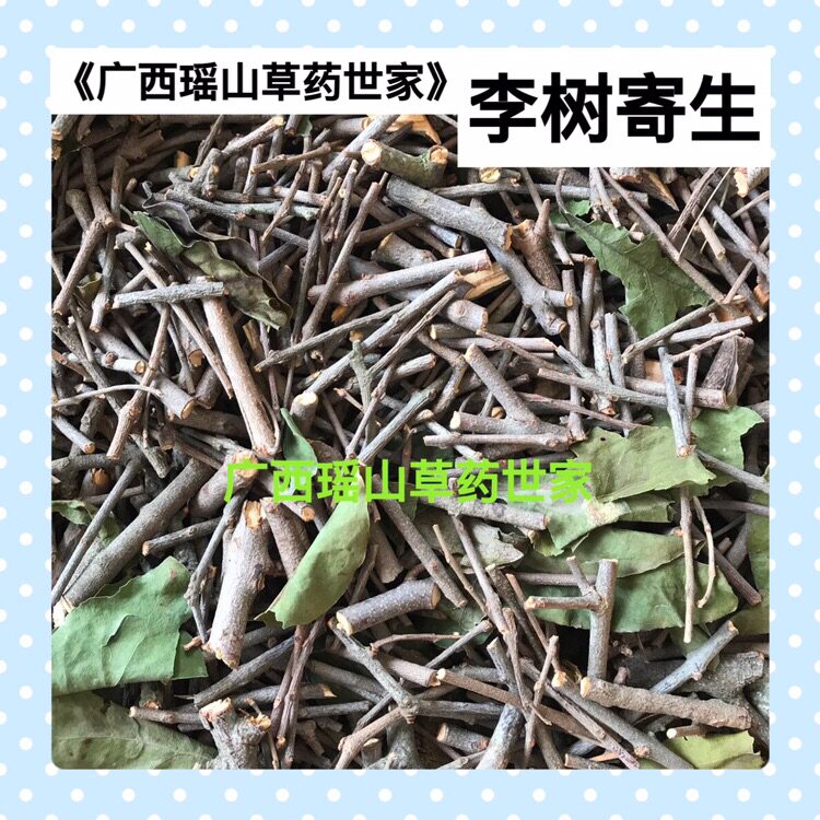 李树寄生三华李寄生李子树寄生樱