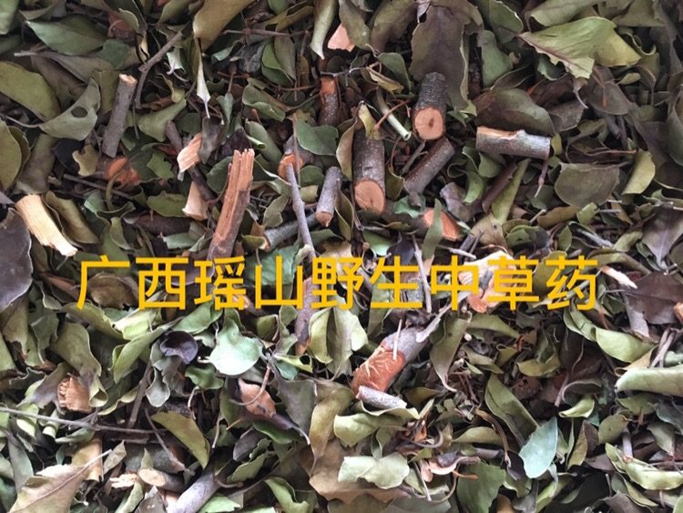 天星木寄生 岗梅寄生 点称星树寄生山梅寄生山土甘草树寄生500克 - 实物图