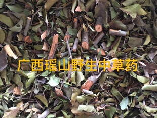 天星木寄生 岗梅寄生 点称星树寄生山梅寄生山土甘草树寄生500克