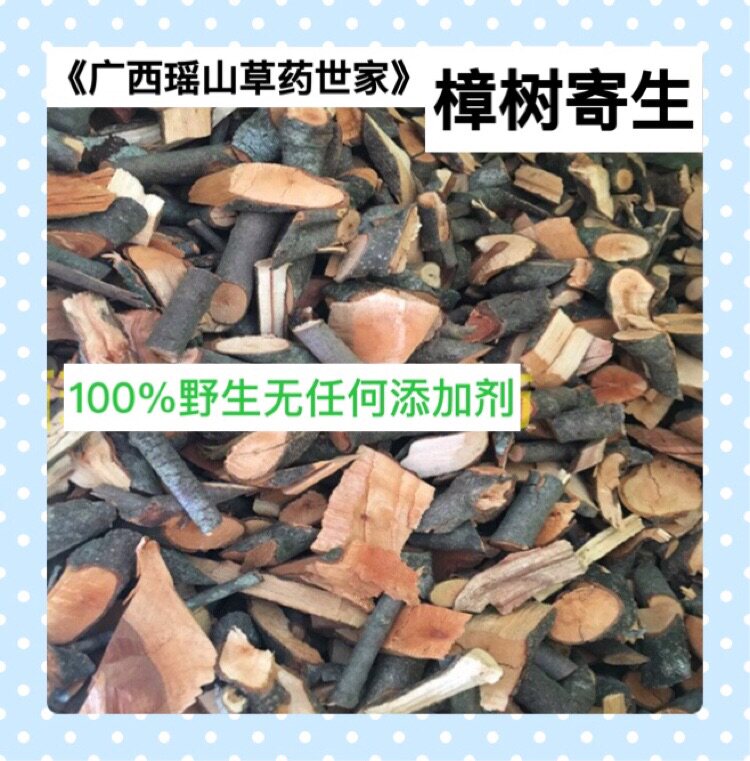 樟树寄生樟木寄生芳樟寄生油樟寄生香樟寄生干品500g包邮