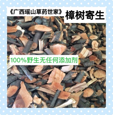 樟树寄生樟木寄生芳樟寄生油樟寄生香樟寄生干品500g包邮