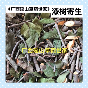 漆树寄生柒木寄生柒树寄生铁象杆漆寄生干品500克