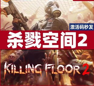 第一人称射 杀戮空间2 杀地板2 激活码 江湖豪华Steam正版 PC中文