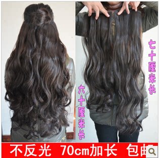 Extension cheveux - Chignon - Ref 229291 Image 1